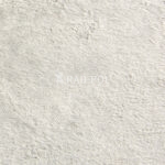 A10-A10 2131
