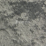 A10-A10 2134