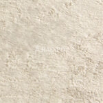 A10-A10 2144