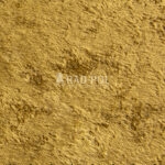 A10-A10 2147