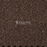 B8 2080