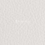OPTIC WHITE