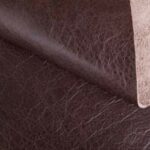 cerato_dark-brown