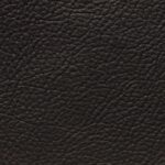 madras_0000