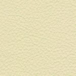 madras_21720