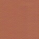 madras_31338