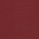 madras_60762