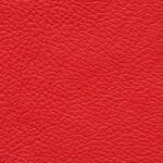 madras_6615