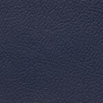 madras_6803