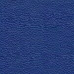 madras_80648