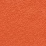 madras_9330