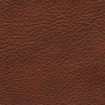 mondial_31628