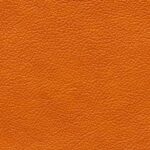 mondial_5329