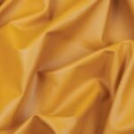 paloma_mustard