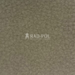 Carabu 139