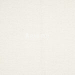 Dolly-02