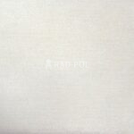 millenium-plain_8502